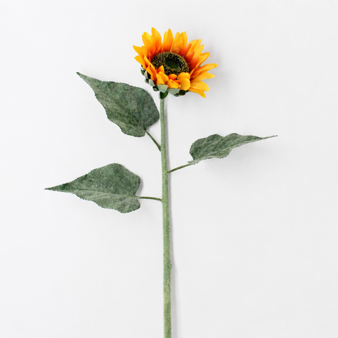 FS206 Sunflower 24" PK 24