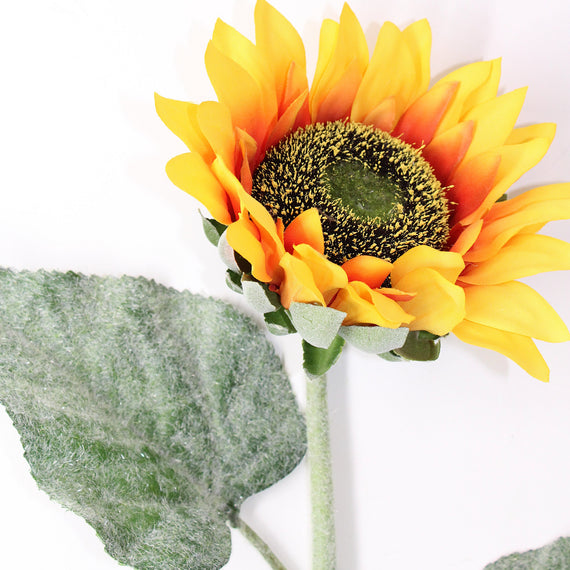 FS206 Sunflower 24" PK 24