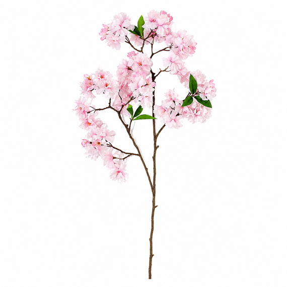FS215 Cherry Blossom 34" PK 12