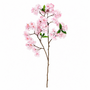 FS215 Cherry Blossom 34" PK 12