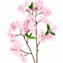 FS215 Cherry Blossom 34" PK 12