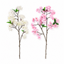 FS215 Cherry Blossom 34" PK 12