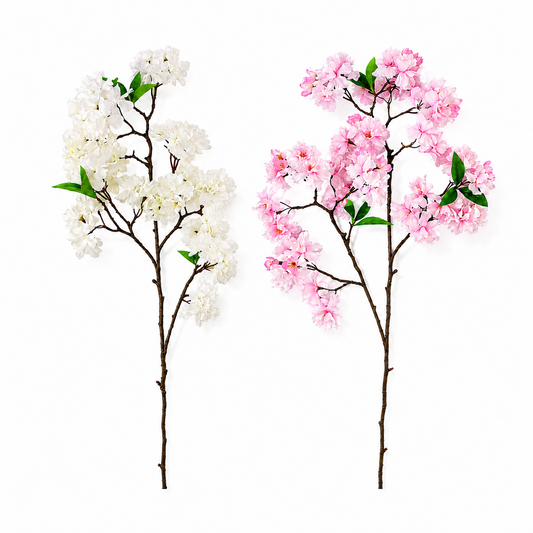 FS215 Cherry Blossom 34" PK 12
