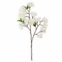FS215 Cherry Blossom 34" PK 12