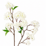 FS215 Cherry Blossom 34" PK 12