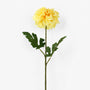 FS220 YE Dahlia PK 24