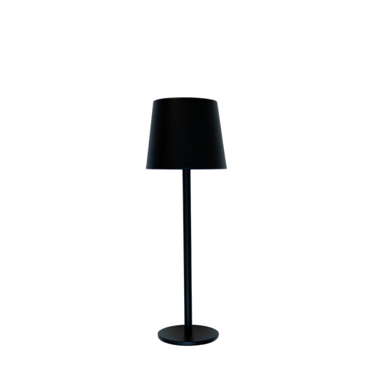 LED100 LED USB Lamp 3.5" x 10.5" PK 4