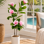 PTT136 Potted Magnolia Tree PK 2