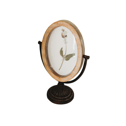 Botanical Art Frame  - Cream