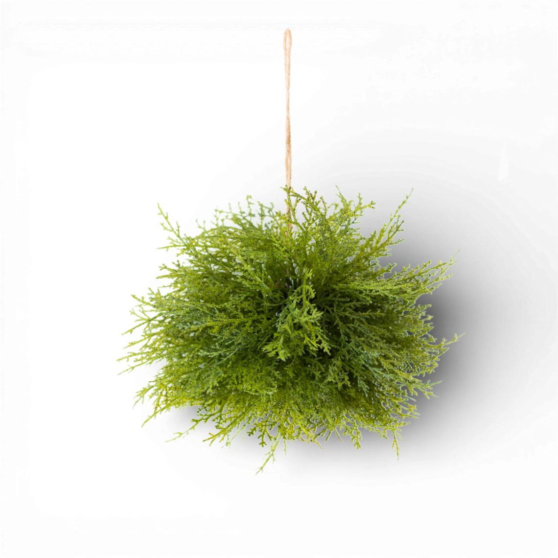 ORB106 Mixed Cedar Orb 8" PK12