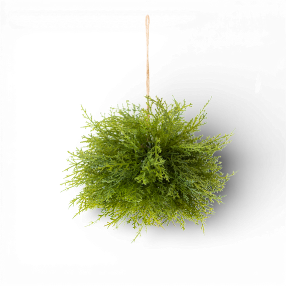 ORB106 Mixed Cedar Orb 8" PK12