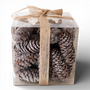 PN113 Pinecones in PVC box 1.5" x 1.5" x 4" PK4