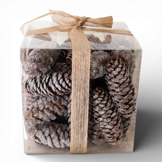 PN113 Pinecones in PVC box 7" x 7" x 7" PK4