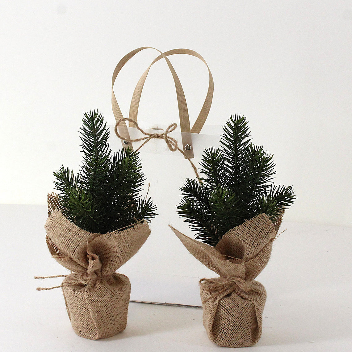 PN114 Potted Pine Trees 11" (13" w/handles), (2 in Gift Bag) PK6