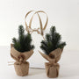 PN114 Potted Pine Trees 11" (13" w/handles), (2 in Gift Bag) PK6