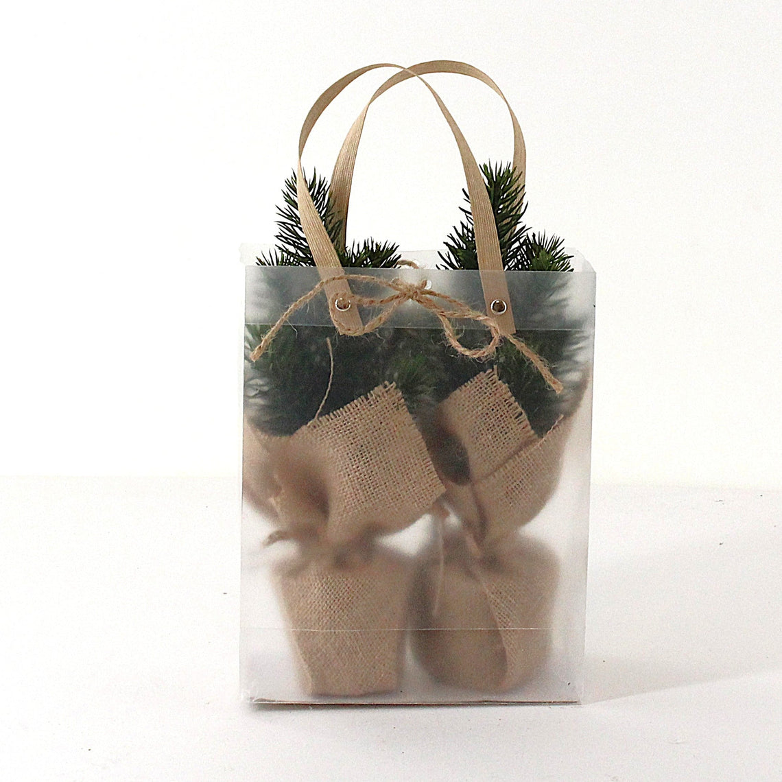 PN114 Potted Pine Trees 11" (13" w/handles), (2 in Gift Bag) PK6