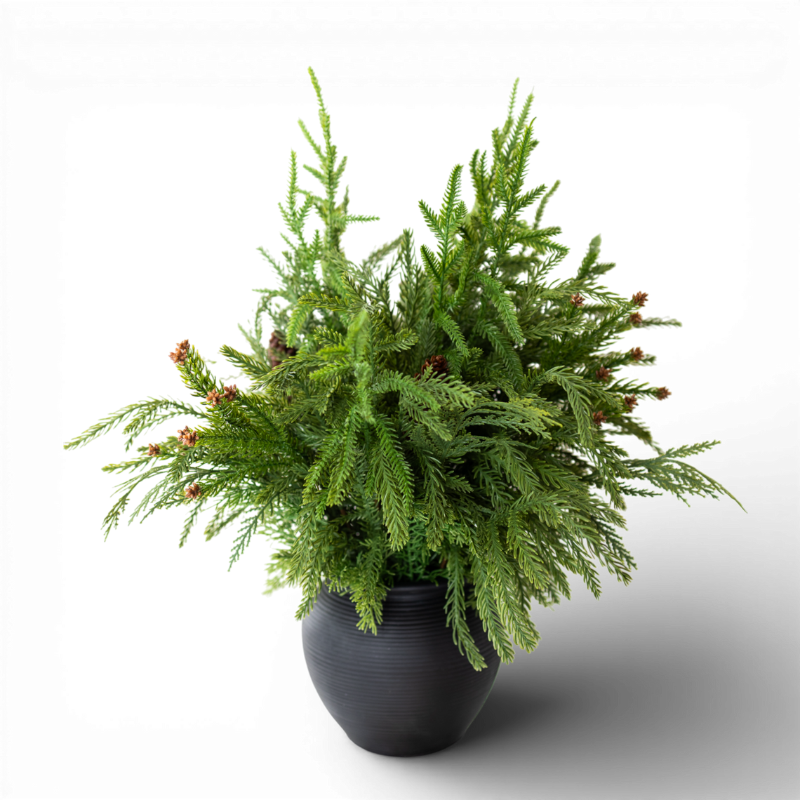 PN116 Potted Pine w/Pinecones 20" x 17" x 18" PK2