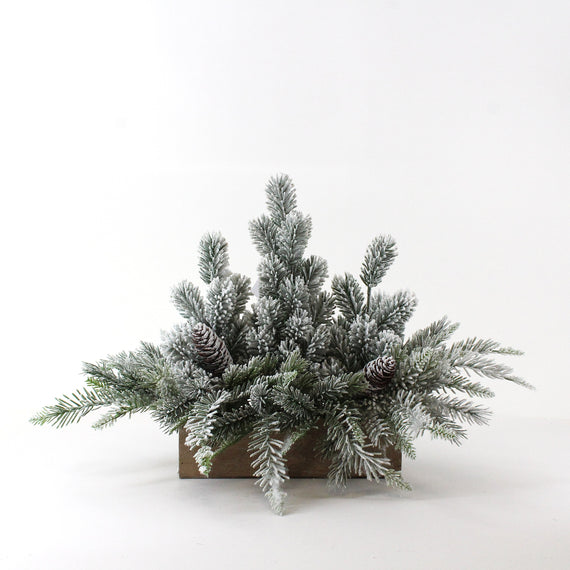 PN117 Potted Frosted Pine Trees In Box 24" x 15" x 14.5" PK2