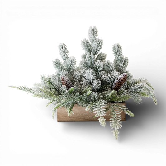 PN117 Potted Frosted Pine Trees In Box 15" PK2