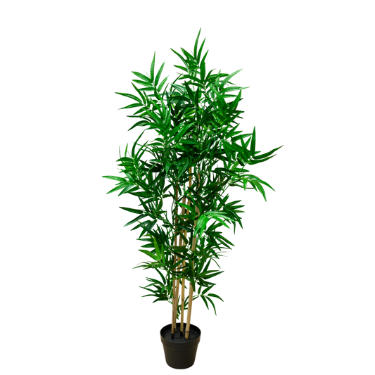 PTT103 Bamboo Tree 4' PK 1