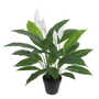 PTG115 Potted Spathe Flower 22"H PK 1