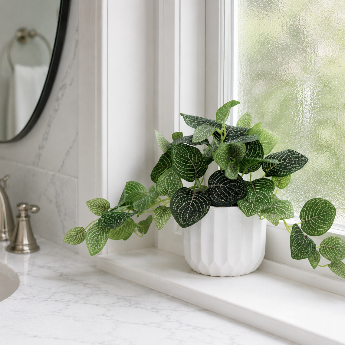 PTG119 Potted Nerve Plant 9" PK 6