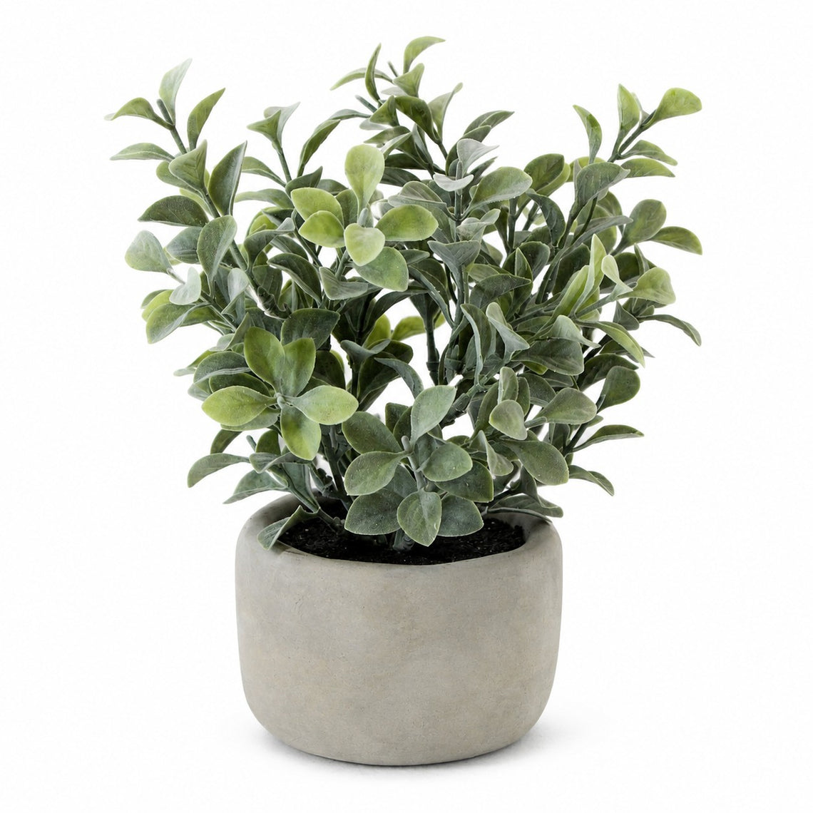 PTG121 Potted Greenery PK 12