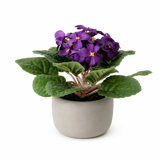 PTG122 Potted Violet/Cement 7" PK 12