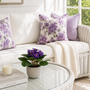 PTG122 Potted Violet/Cement 7" PK 12