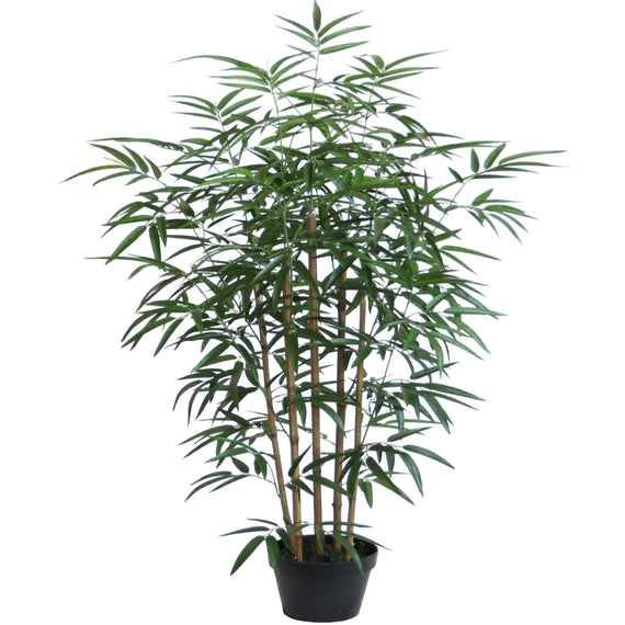 Bamboo Tree