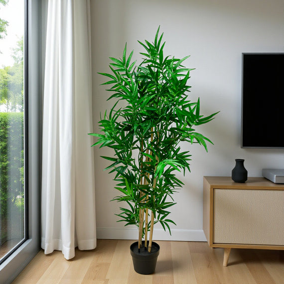 PTT103 Bamboo Tree 4' PK 1