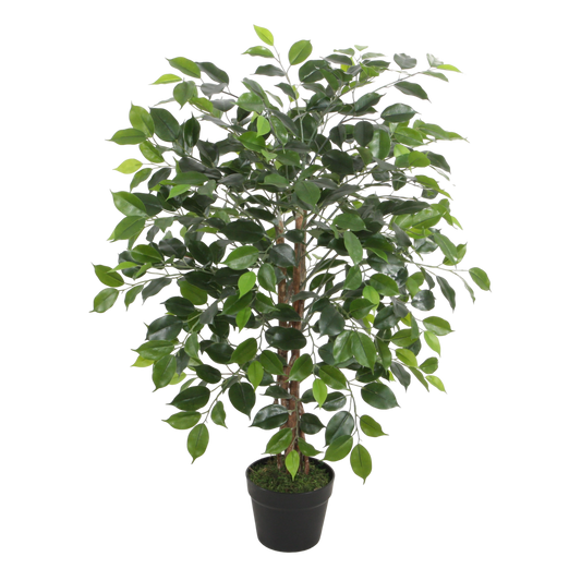 PTT108 Wood Trunk Ficus Tree 3' PK 1