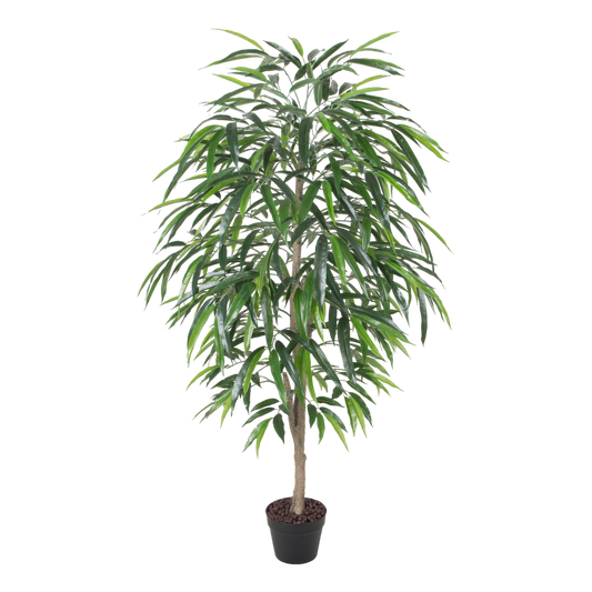 PTT110 Flii  Wood Trunk 5' PK 1