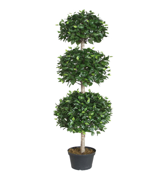 Ficus Triple Topiary w/Wood Trunk 3.5'