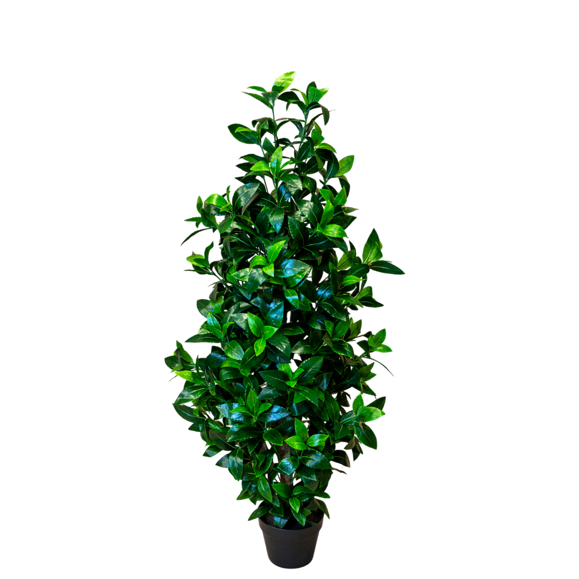 PTT113 Wood Trunk Bay Tree Topiary 4' PK 1