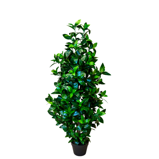 PTT113 Wood Trunk Bay Tree Topiary 4' PK 1