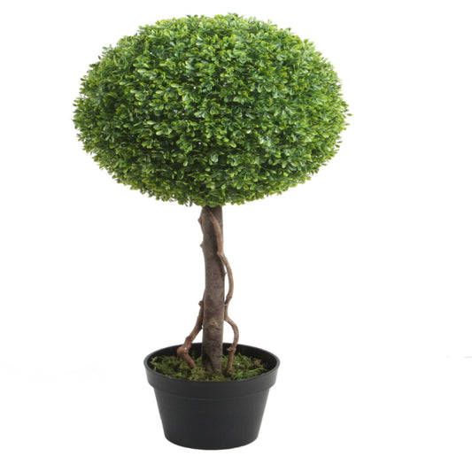 Boxwood Single Topiary 3.5'