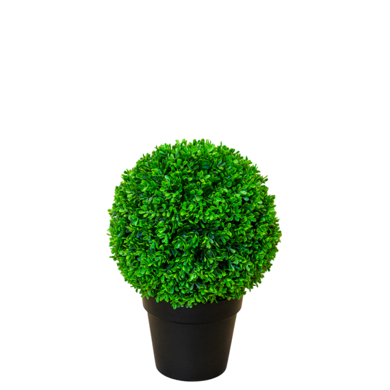 PTT124 Boxwood Single Ball 1.5'H PK 1