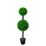 PTT125 Boxwood Double Topiary 4'H PK 1