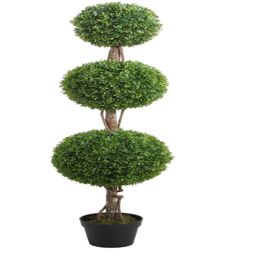 Boxwood Triple Topiary