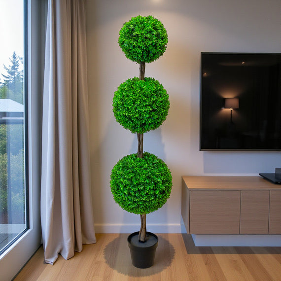 PTT126 Boxwood Triple Topiary 5'H PK 1