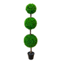 PTT126 Boxwood Triple Topiary 5'H PK 1