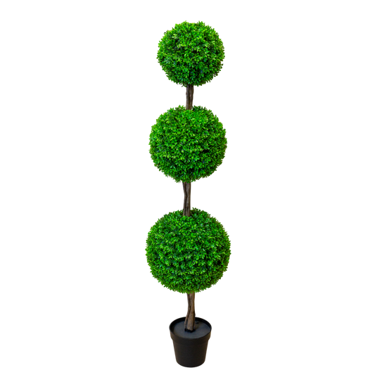 PTT126 Boxwood Triple Topiary 5' PK 1