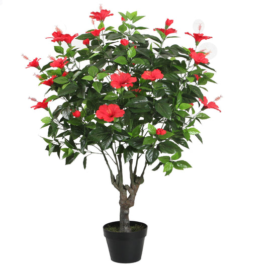 Hibiscus