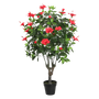 PTT130 Hibiscus 4.3'H PK 1