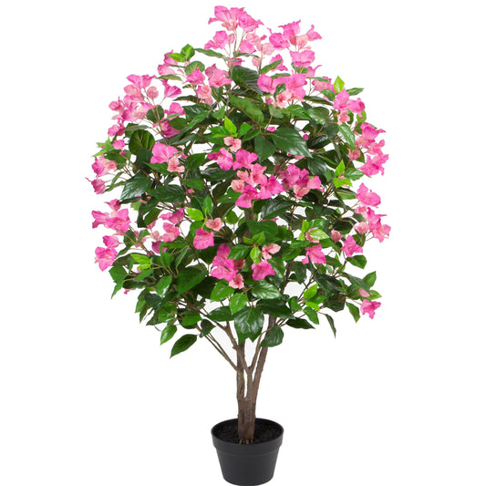 Bougainvillea