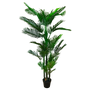 PTT134 Potted Mini Palm Tree 6' PK1