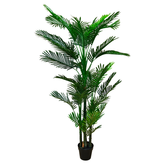 PTT134 Potted Mini Palm Tree 6' PK1