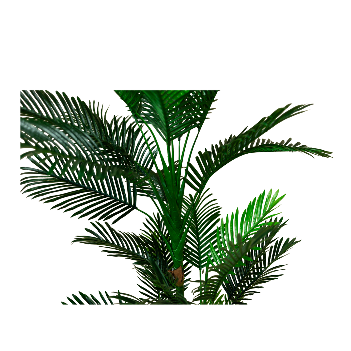 PTT134 Potted Mini Palm Tree 6' PK1