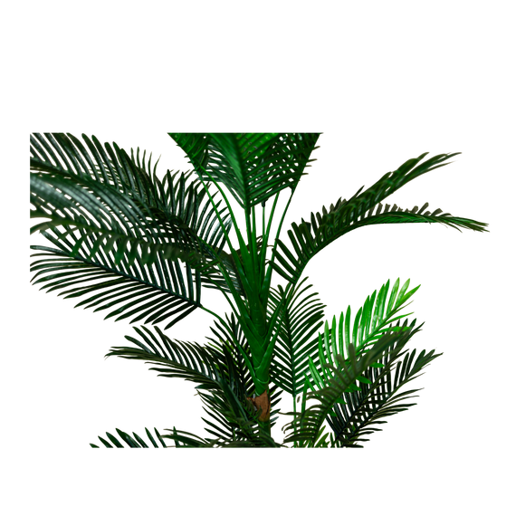 PTT134 Potted Mini Palm Tree 6' PK1